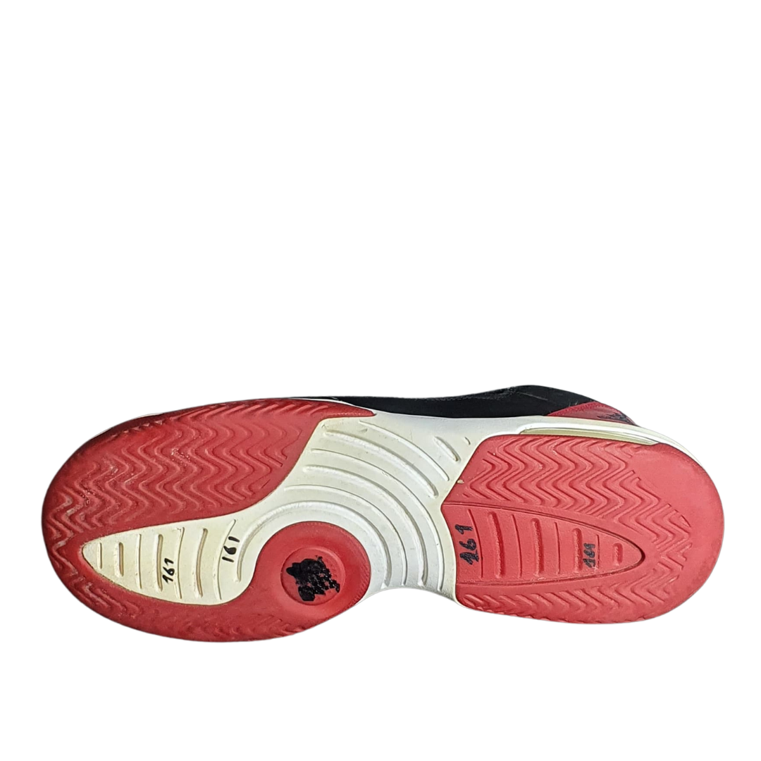 NIKE JORDAN MAX AURA
